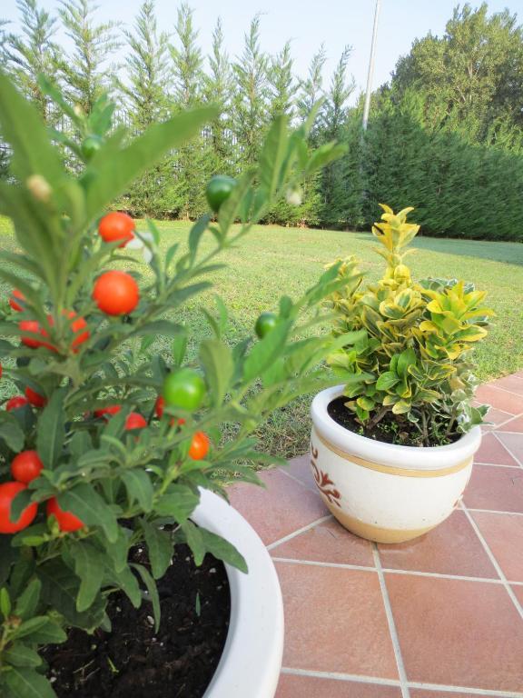 Ladino Room & Breakfast Ferrara Exterior photo